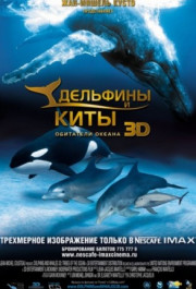 Постер Dolphins and Whales 3D: Tribes of the Ocean